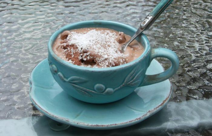 Rgime Dukan (recette minceur) : Crme glace chocolat anti craquage #dukan https://www.proteinaute.com/recette-creme-glacee-chocolat-anti-craquage-5572.html